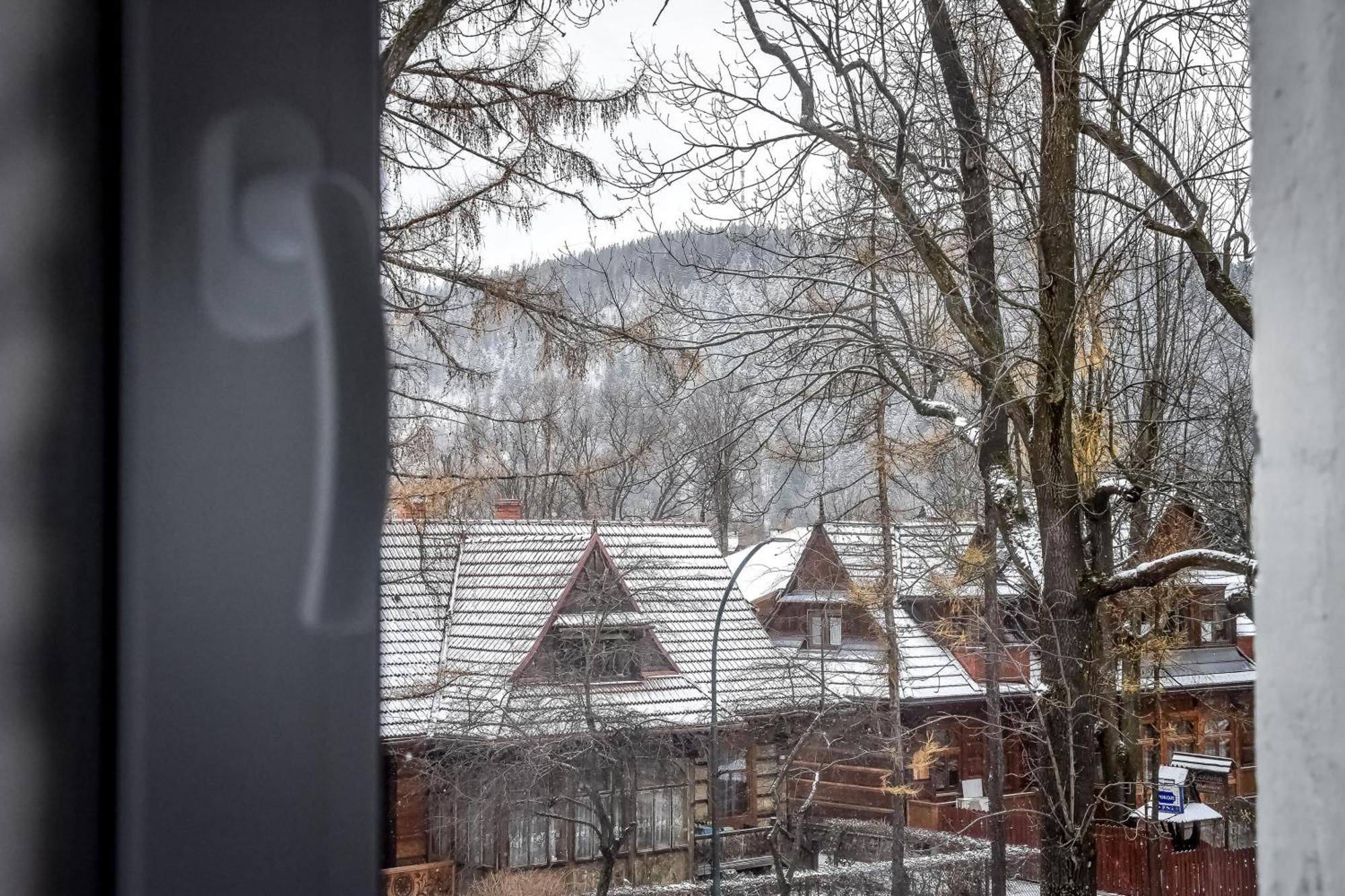 Owczy Kacik * Zakopane