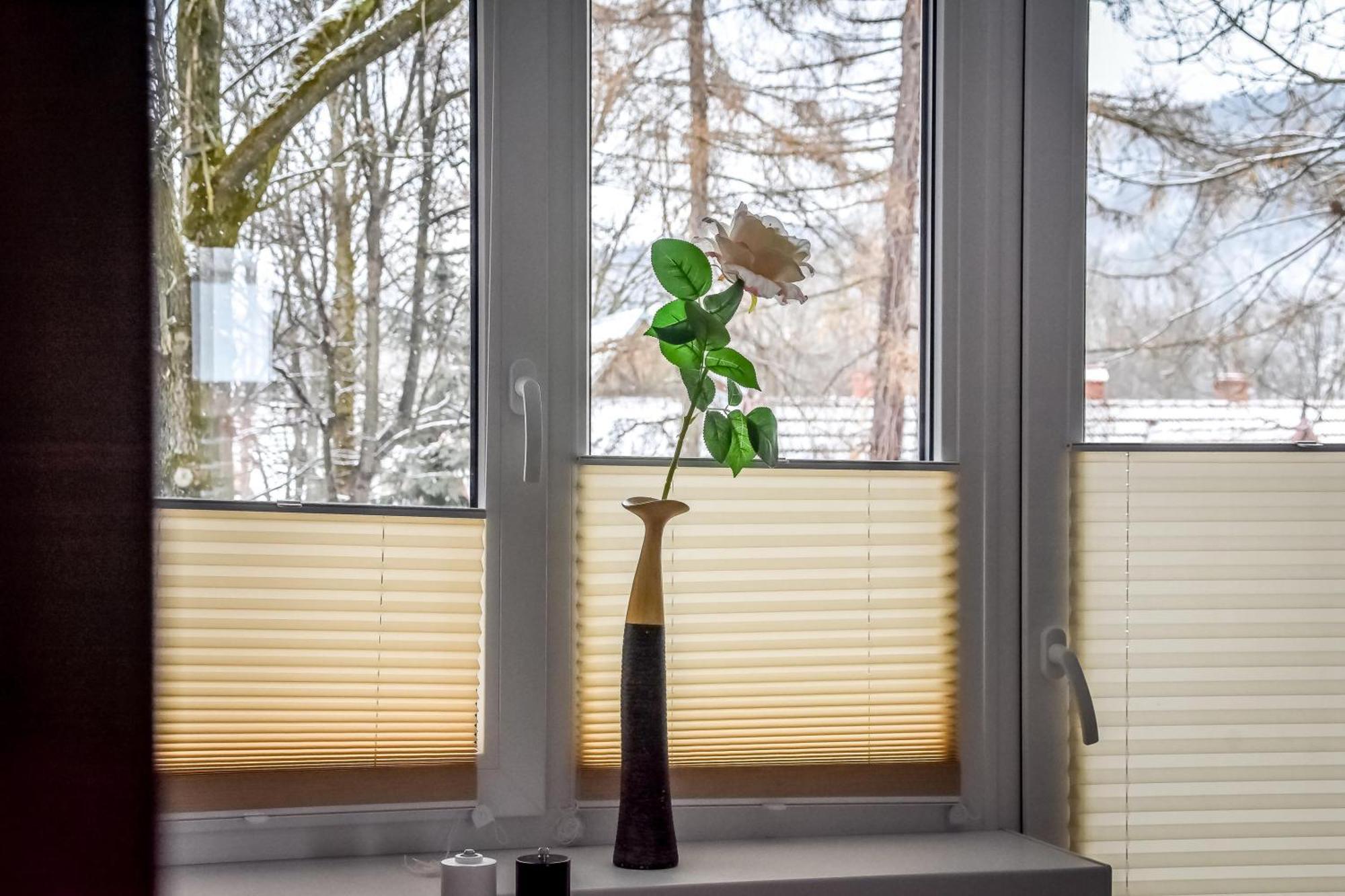 Owczy Kacik Apartment *